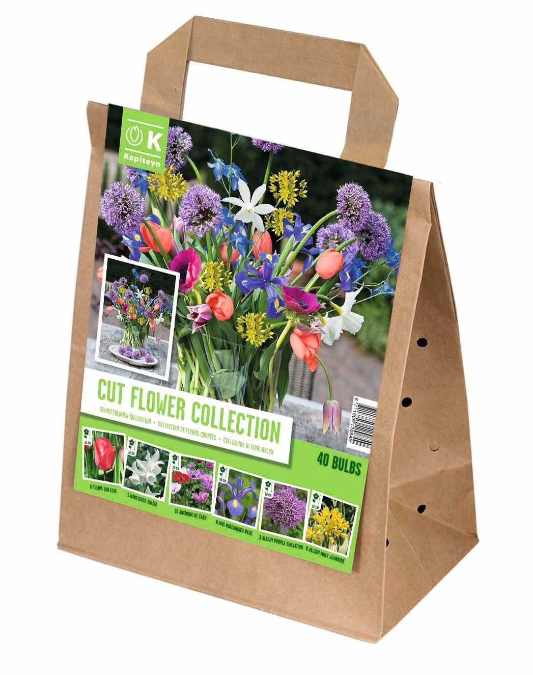 Cut Flower Collection Other Summer Bulbs Bulbs Windy Ridge